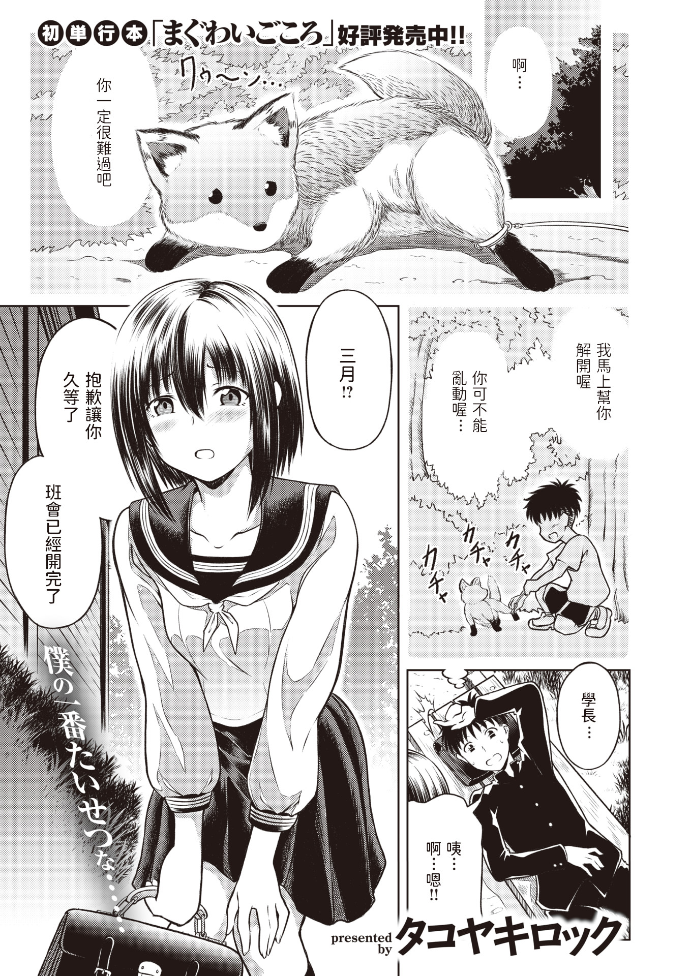 きつねの縁結び